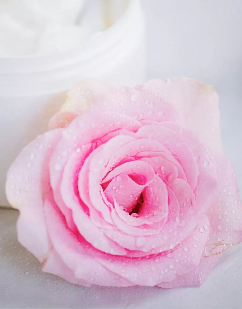 Rose délicate et ambiance bien-être